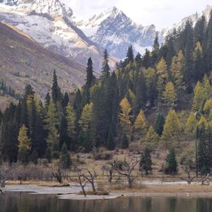 生活碎片留存馆 头像