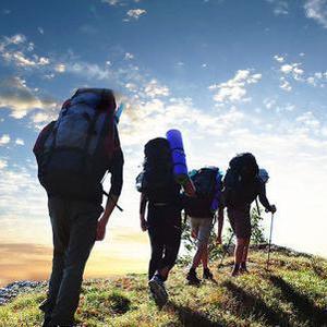 大王娱乐村 头像