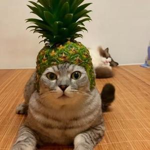 瓜皮炒蛋壳