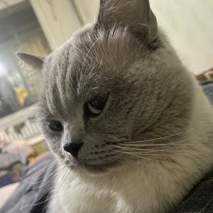 蹦蹦与跳跳的二三事 头像