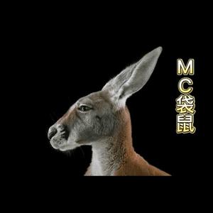 梦幻西游袋鼠 头像
