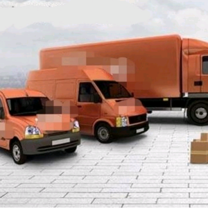 货运王启强 头像