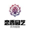 福建漳州[王长生] 头像