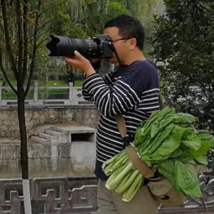 暮草