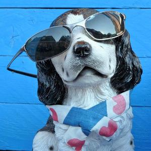 科技品玩师 头像