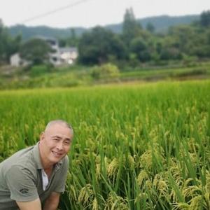一心一意河流Fp