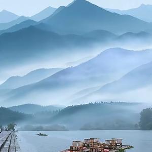 一个发芽的土豆 头像