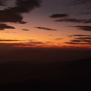 多才多艺瓜 头像