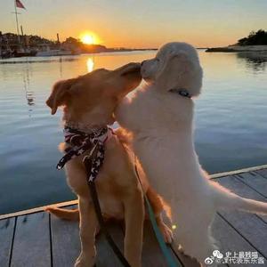 不正经的冷知识 头像