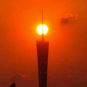 旅行家伯蒂6x1h 头像