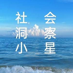 社会洞察小星 头像