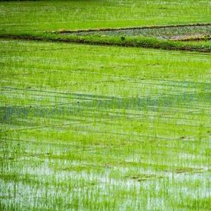 翾譞聊二三事 头像