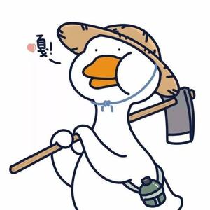 大婷爱分享 头像