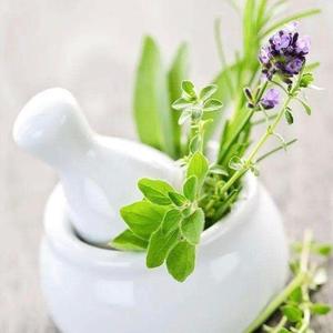 城中惬意喝奶茶 头像