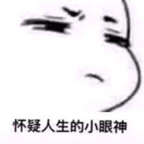 晒太阳的猫 头像