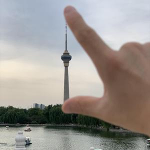 每天译点晓知识 头像