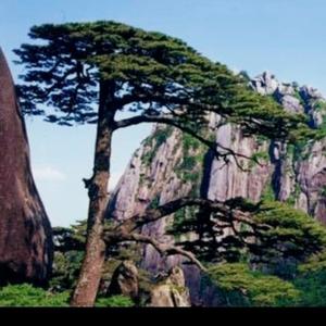 W闻风坐相悦