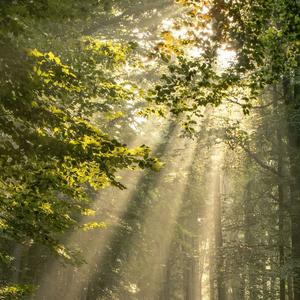 开LP的老师 头像