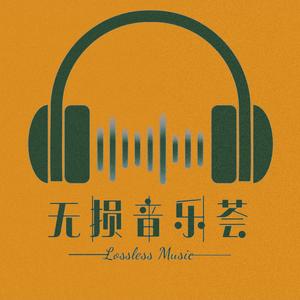 无损音乐荟头像