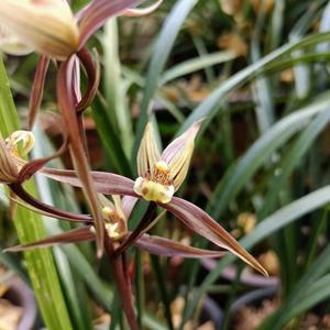 高中英语语法 头像