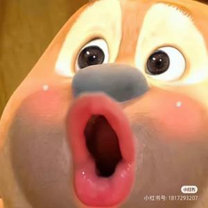 胖乎乎的小熊二 头像