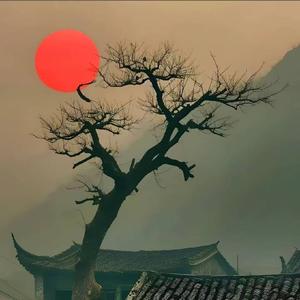 老李学历史 头像