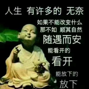 极速微风6n5 头像