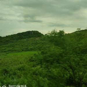 古德古德IMAO 头像