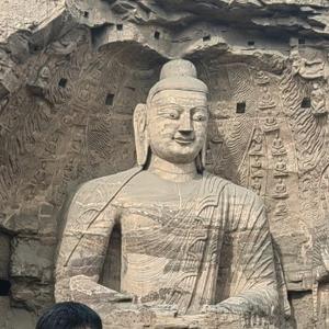 好学船帆Vgx 头像