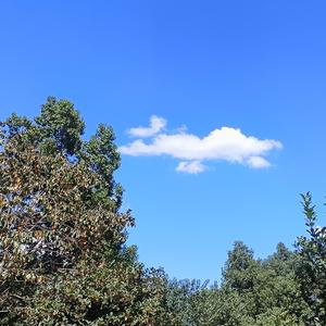 股王小明哥 头像