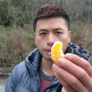 农村小太阳Vlog头像