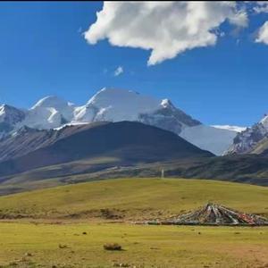 圆梦影视解说 头像