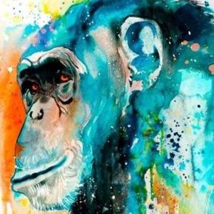 随性自由的狒狒 头像