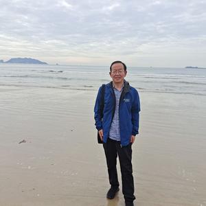 如歌的行板 头像