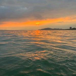 学友音乐汇 头像