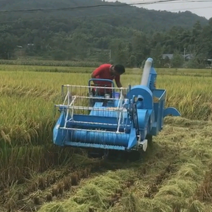 曲阜德高机械头像