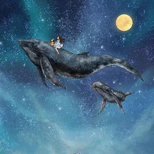 美梦研习社 头像