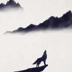 孤狼聊文史 头像