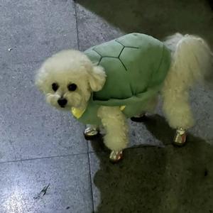 老龟说事 头像