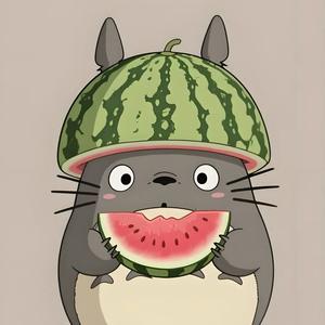 瓜田杂货铺 头像