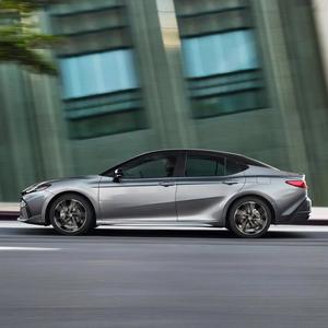 奋发橙子A 头像