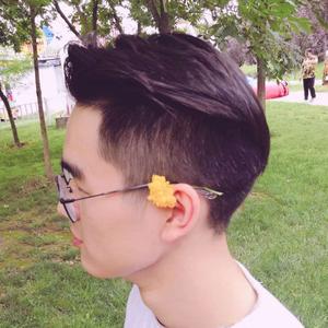 向阳而生的vlog 头像