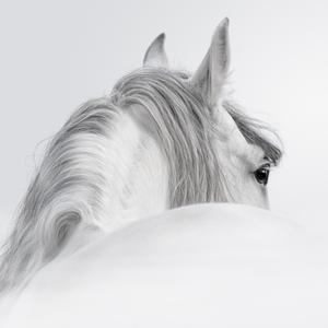 用户5770226520925 头像