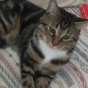 像糖一样甜的女人 头像