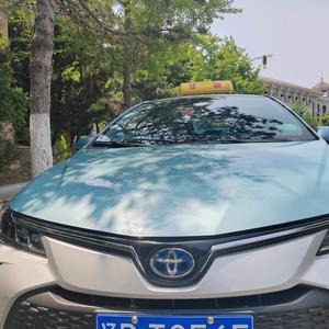 大头熊日志 头像