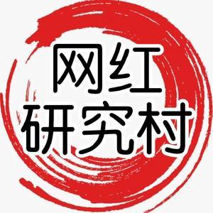 网红研究村头像