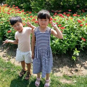 随心远行🌞 头像