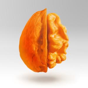 核桃美好商业 头像