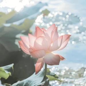 雷部大貔貅 头像