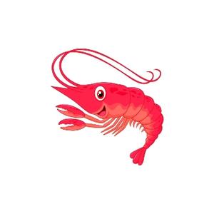 风投小虾 头像